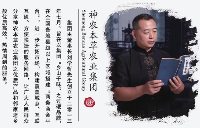 嘉兴加盟古玩代理